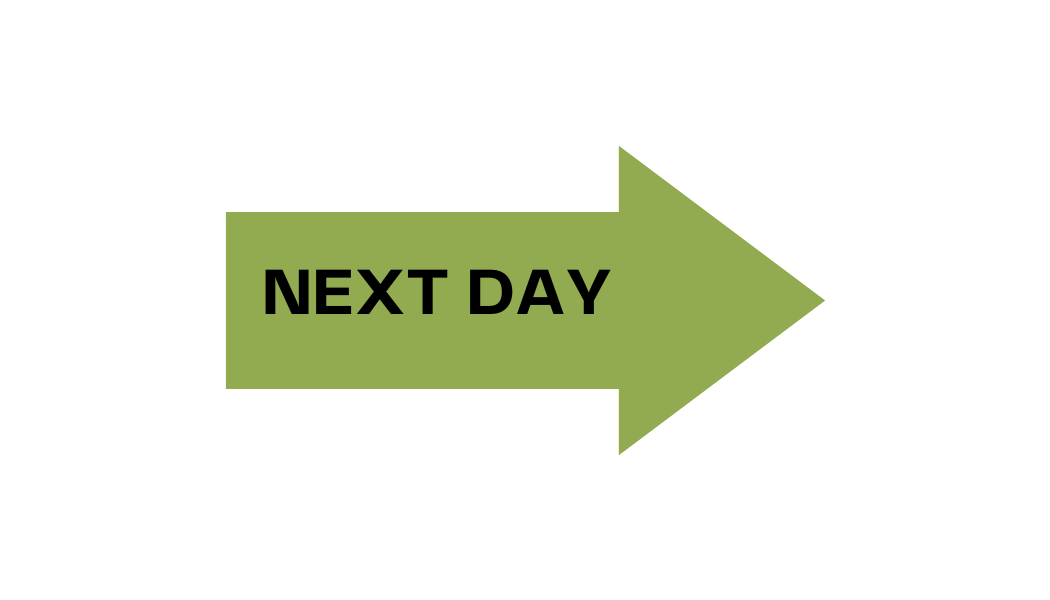 Next Day